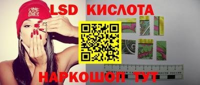 Альфа ПВП Малгобек